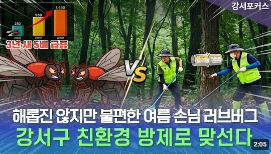 민원 급증 러브버그